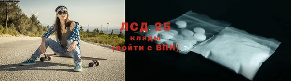 ГАЛЛЮЦИНОГЕННЫЕ ГРИБЫ Балахна