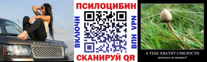 Галлюциногенные грибы Psilocybine cubensis  купить закладку  Верхняя Тура 